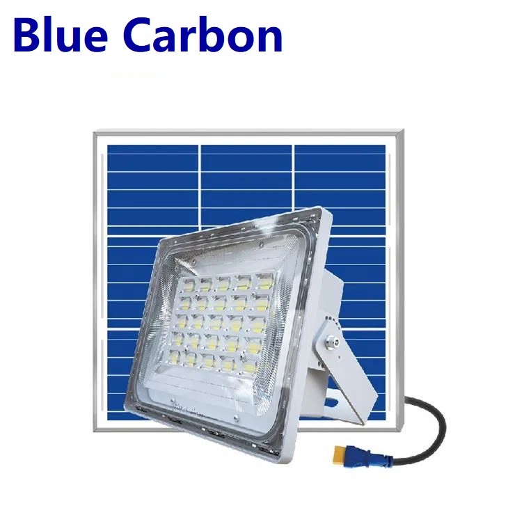 Distributeur Projecteur solaire bluecarbon 50W 100W 200W 300W 500W maroc freeray